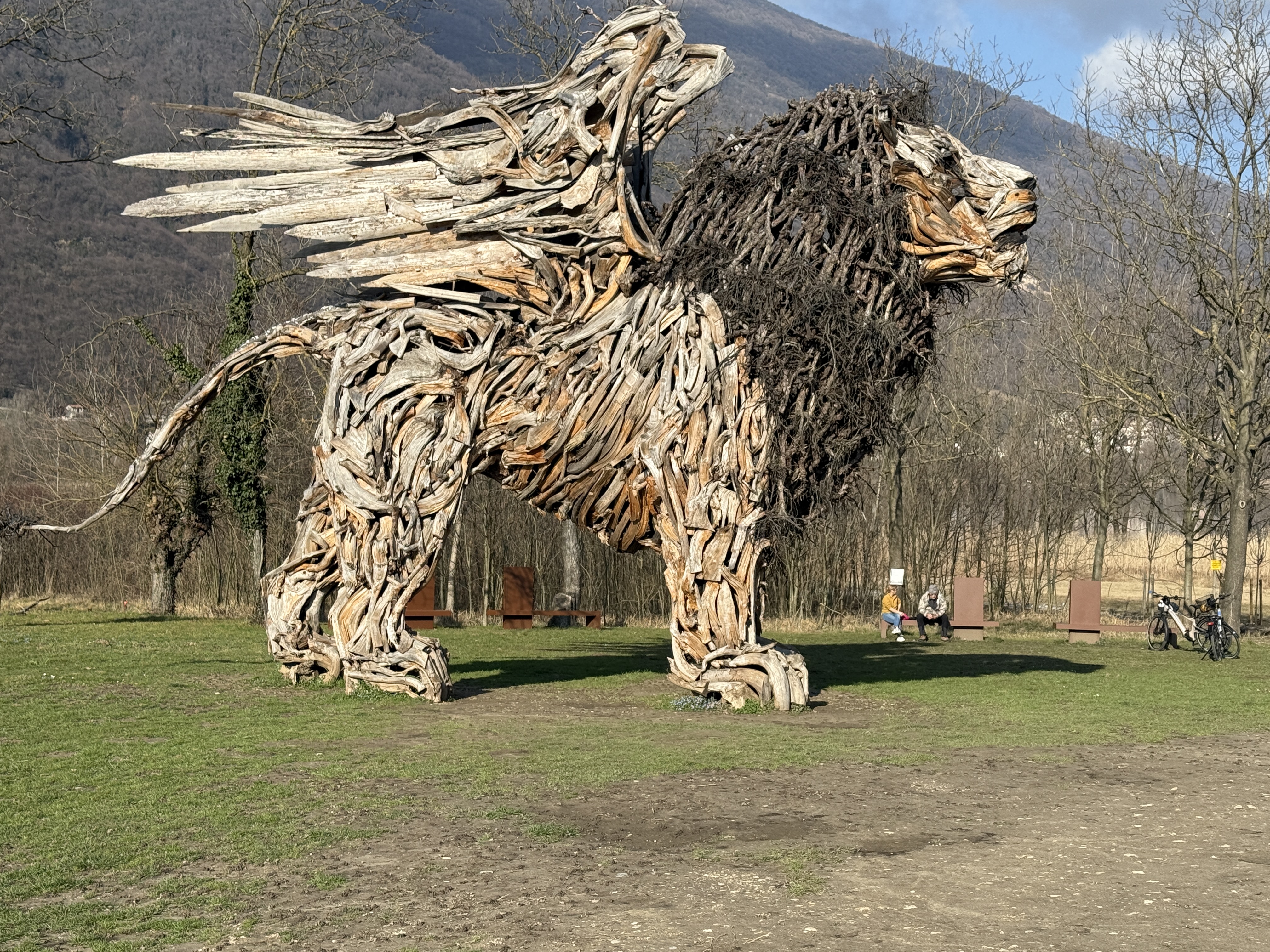 Scatto della settimana