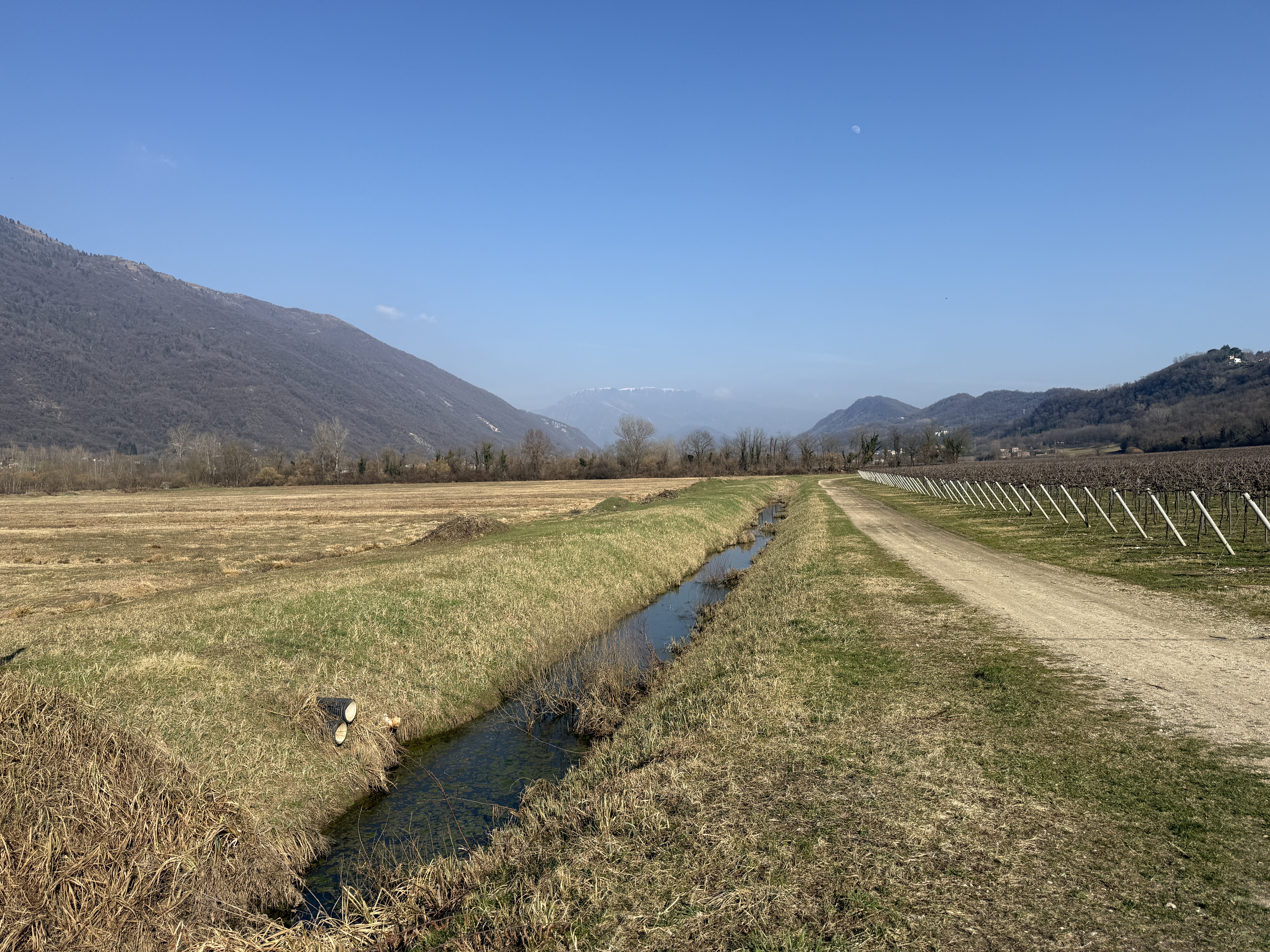 Scatto della settimana