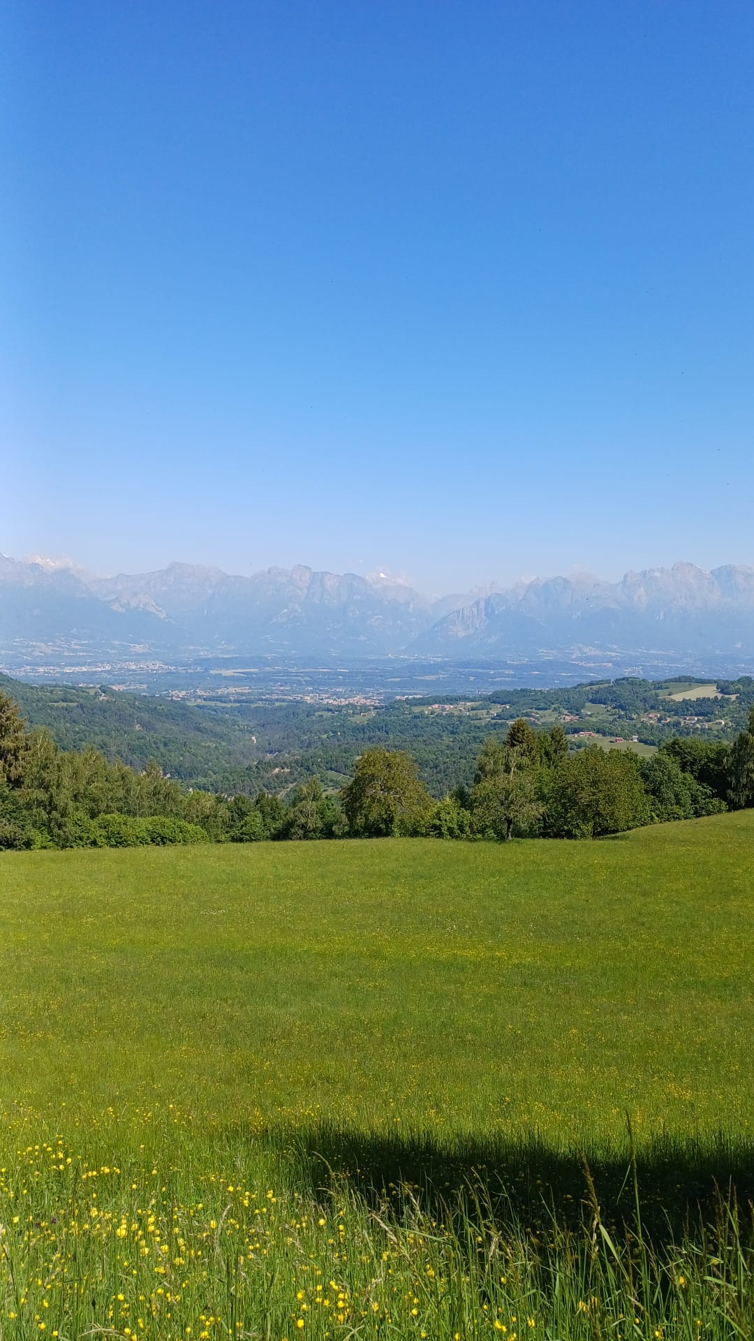 Scatto della settimana