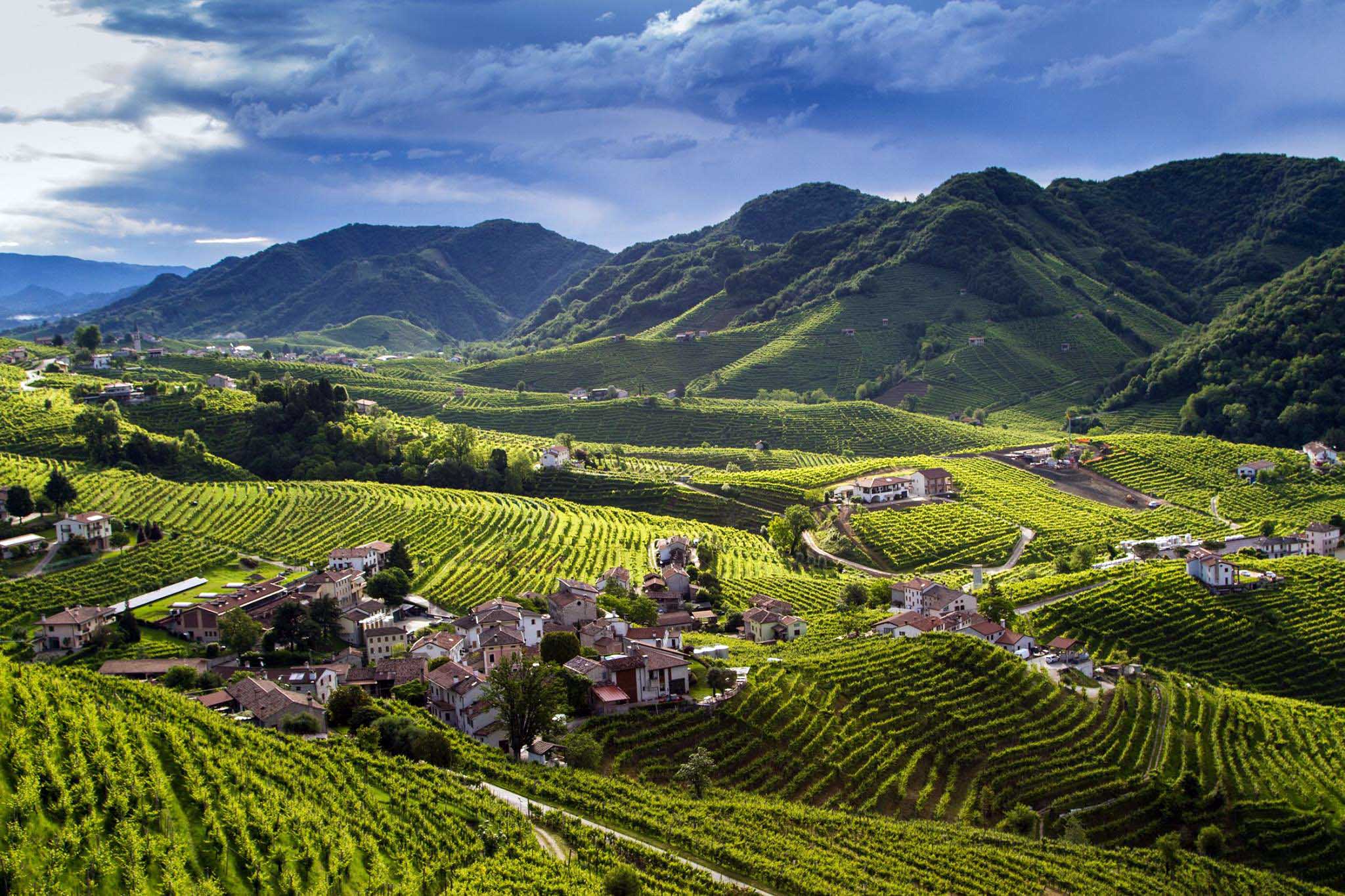 Colline del Prosecco